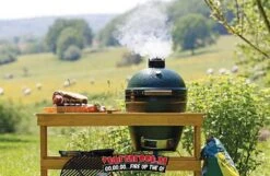 Big Green Egg Spring Assisted Band Large -Barbecue Gereedschap Winkel image 278