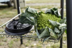 Petromax Roosterbakt.b.v Fe45 (40 Cm) 7 Petromax Roosterbakt.b.v Fe45 (40 Cm) -Barbecue Gereedschap Winkel image 742