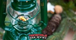 Original Feuerhand Stormlantaarn Groen -Barbecue Gereedschap Winkel image 875