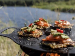 Petromax Grillplaat TBV Atago 15 Petromax Grillplaat TBV Atago -Barbecue Gereedschap Winkel image 978